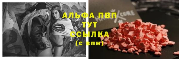 СК Абдулино