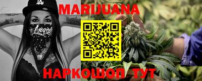 гидропоника Камышлов
