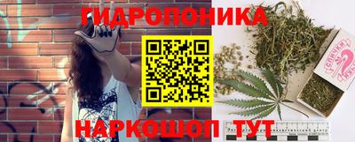 гидропоника Камышлов