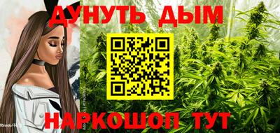 молекула духа Кандалакша
