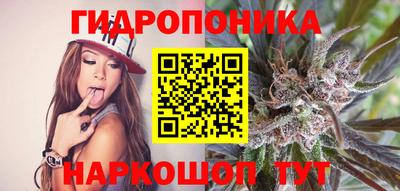 молекула духа Кандалакша