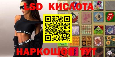 гидропоника Камышлов
